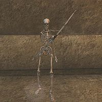 MW-creature-Skeleton Archer.jpg