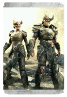 ON-card-Nord Hero Armor.png