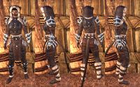 ON-item-armor-Frostcaster Heavy.jpg
