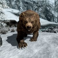 BS5C-creature-Brown Bear.jpg
