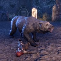 ON-creature-Bear (Oathsworn Pit).jpg
