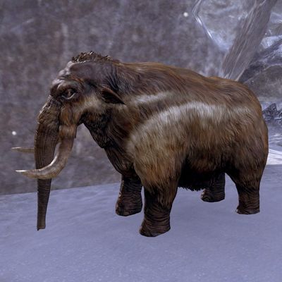 Online:Pocket Mammoth - The Unofficial Elder Scrolls Pages (UESP)