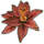 ON-icon-furnishing-Plant, Canna Lily.png