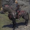 ON-mount-Dark Brotherhood Crew Steed.jpg