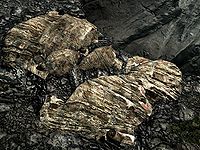 Skyrim Mining The Unofficial Elder Scrolls Pages Uesp