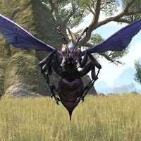 ON-creature-Giant Wasp 02.jpg