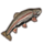 ON-icon-furnishing-Fish, Trout.png