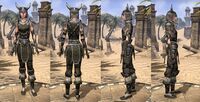ON-item-armor-Nord Medium 3 Female.jpg