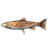 SR-icon-food-Cooked Arctic Char.png