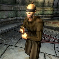 Moth Priest Blindfold, Elder Scrolls