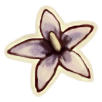 OBR-icon-ingredient-Nightshade.png