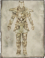 SI-book-Amber Armor.png
