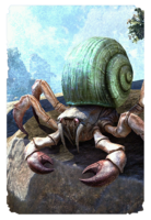 ON-card-Heartland River Crab.png