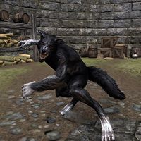 ON-creature-Werewolf (Mist Morrow Tower).jpg