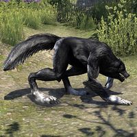 ON-creature-Werewolf Howler.jpg