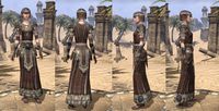 ON-item-armor-Nord Light Robe 3 Female.jpg