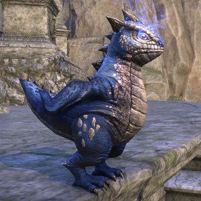 Online:Coldharbour Bantam Guar - The Unofficial Elder Scrolls Pages (UESP)