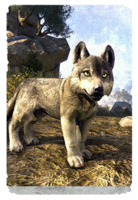 ON-card-Boralis Gray Wolf Pup.png