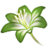 ON-icon-fragment-Chartreuse Lily Petals.png