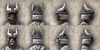 ON-item-armor-Reach Winter Heavy Beast Races.jpg
