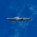 Thumbnail for version as of 01:36, 22 April 2025