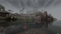 TR3-quest-Revealing the History of Fort Ancylis Starting Position.jpg