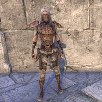 Ashlander Kagesh Tribe Armor (female)