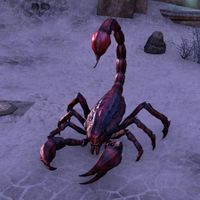 ON-creature-Scorpion Guardian.jpg
