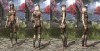ON-item-armor-Wood Elf Light Jerkin 1 Female.jpg
