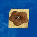 Thumbnail for version as of 01:35, 22 April 2025