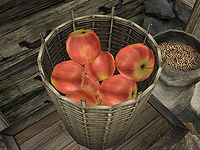 OB-ingredient-Apples.jpg
