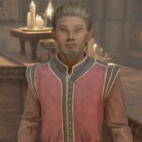 OBR-npc-Rindir.jpg