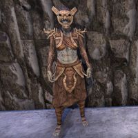 ON-costume-Valenwood Spinner (Female).jpg