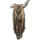 ON-icon-furnishing-Riekling Banner, Wolf Pelt.png