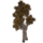 ON-icon-furnishing-Trees, Young Autumn Birch.png