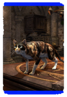 ON-card-Silsailen Tortie-Calico Cat.png