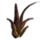 ON-icon-furnishing-Plant, Red Aloe.png