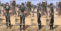ON-item-armor-Nord Light Jerkin 2 Female.jpg