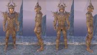 ON-item-armor-Y'ffre's Fallen-Wood 02.jpg