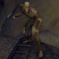 Online:Faraniel - The Unofficial Elder Scrolls Pages (UESP)