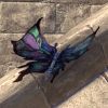 ON-pet-Stainedwing Butterfly.jpg