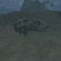 TD3-creature-Small Slaughterfish.jpg