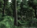 Thumbnail for version as of 23:13, 21 April 2013