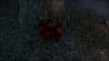 Thumbnail for version as of 18:01, 13 June 2025