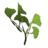 BS5-icon-ingredient-GinkgoLeaves.png