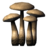 BS5-icon-ingredient-CairnBolete.png