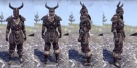 ON-item-armor-Nord Medium 4 Male.jpg