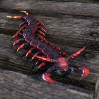 ON-creature-Centipede.jpg