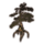 ON-icon-furnishing-Fabricant Tree, Gnarled Cypress.png