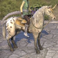 ON-mount-Masqued "Unicorn" Steed.jpg